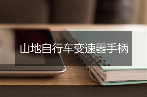 山地自行车变速器手柄